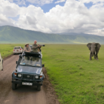 Tanzanian e-Visa for Citizens of Bosnia