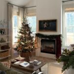 Motorized Window Shades for Skylights: Intelligent Comfort Above the Ordinary