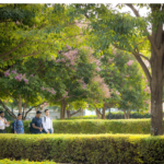 Palliative Care Kochi