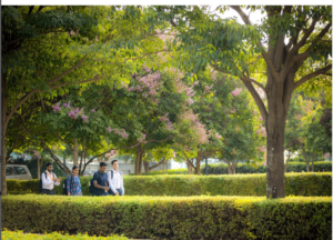 Palliative Care Kochi