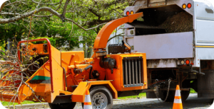 Tree Pruning Marietta GA | Expert Care by Stanton Tree Service