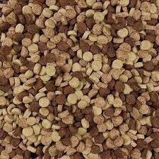 Grain Free Wet Dog Food: The Ultimate Guide for Pet Owners