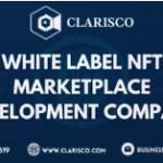 How White Label NFT Marketplace Development Enables Companies to Join the NFT Ecosystem