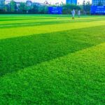 How Do I Find A Reliable Artificial Turf Hire Company In Australia