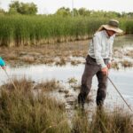 Larvae collection PHOCO 036 16 9