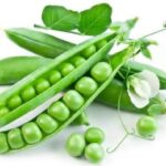 Argentina Exporter Pulses: Key Facts Comprehensive Guide 2026