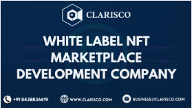 White label speeds up your digital journey. white label NFT Marketplace development