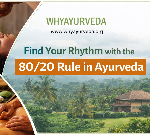 compressed ChatGPT Image Feb 14 2026 11 02 26 AM