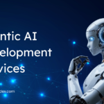 Agentic AI Development