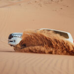 Liwa Desert Safari – A Journey Beyond the Dunes