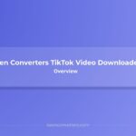 Keen Converters TikTok Video Downloader Overview