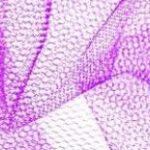 Nylon Net Manufacturers