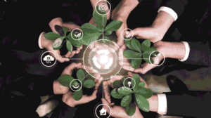 Localized ESG Strategies for Sustainability and Long Term Resilience