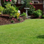 istockphoto 1336595599 612x612 1