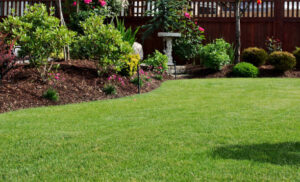 The Different Types of Turf for Garden and Their Benefits