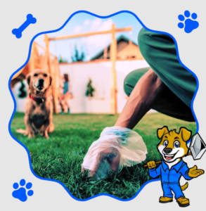 Professional Dog Poop Pickup in DFW for Clean Yards Today