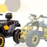 WhatsApp Image 2026 02 11 at 11.02.44 AM