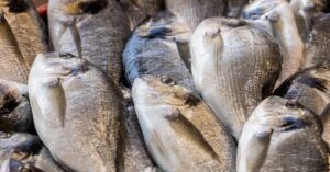 Fresh from the Sea to Your Table: The Ultimate Guide to Enjoying Quality Fish