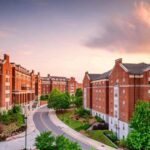 curata e9Jq3RLfPfHD6bM