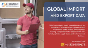 How Small Businesses Can Benefit from Trade Data