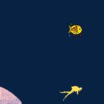 Plan Your Perfect Konkan Trip – Hotels, Resorts & Homestays Across Alibaug, Dapoli, Tarkarli & More 3 Plan Your Perfect Konkan Trip – Hotels, Resorts & Homestays Across Alibaug, Dapoli, Tarkarli & More