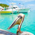 36b2de7e57ac755ecad0bd734b3309d3