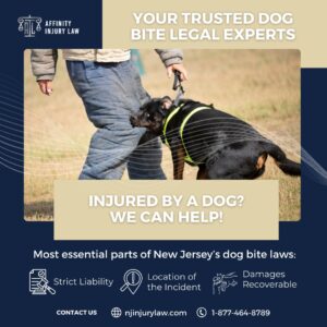 When a Dog Bite Turns Life Upside Down Fast