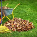 Blog Fall Lawn Maintenance Optimized