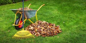 Seasonal Lawn Care Checklist for Ohio: What to Do Each Month
