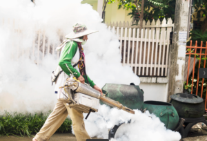 Mosquito Control Las Vegas: 7 Proven Tricks to Reclaim Your Backyard Tonight 1 Mosquito Control Las Vegas: 7 Proven Tricks to Reclaim Your Backyard Tonight