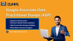 Associate Data Practitioner Dumps: Your Path to Google Cloud Certification Success