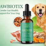 ChatGPT Image Feb 16 2026 11 33 25 AM