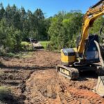 How Can Tree Removal Services Prevent Pest Infestations and Tree Decay?