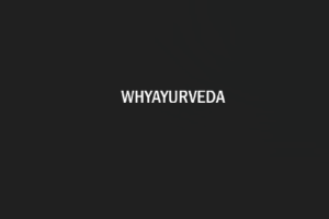 Why the 80/20 Rule in Ayurveda Is the Key to Sustainable Wellness 1 Why the 80/20 Rule in Ayurveda Is the Key to Sustainable Wellness