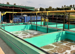 Common Sources Of Wastewater In The Food Processing Industry