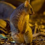 Screenshot 2026 03 12 140404