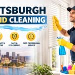 From Dirt to Damage: When to Choose Pittsburgh Blind Cleaning and Shade Repair Services