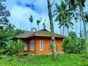 Experience the Best Homestay in Wayanad for a Peaceful Getaway