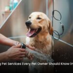 Trending Pet Services Every Pet Owner Should Know in 2026