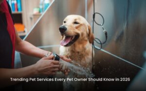 Trending Pet Services Every Pet Owner Should Know in 2026