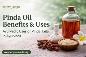 Pinda Oil: Ayurvedic Benefits, Pinda Taila Uses, and How to Use It