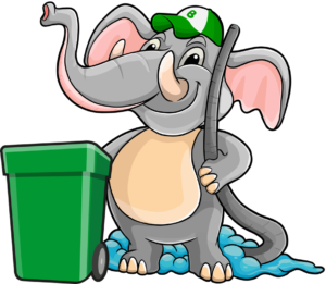 Professional Bin Cleaning Services: Keep Your Trash Cans Fresh & Hygienic