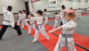How Do You Choose the Right Martial Art Class in Alexandria Without Wasting Time? 1 How Do You Choose the Right Martial Art Class in Alexandria Without Wasting Time?