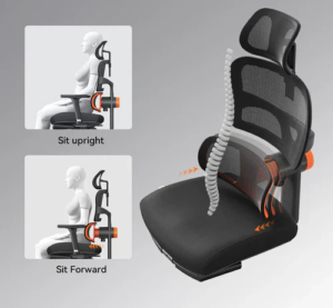 Can an Ergonomic Office Chair Transform Your Workday Comfort? 1 Can an Ergonomic Office Chair Transform Your Workday Comfort?