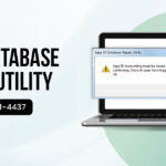 Sage Database Repair Utility