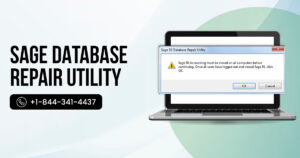 When and Why You Should Use the Sage 50 Database Repair Utility?