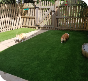 Expert Synthetic Turf Installation for Durable Artificial Grass Solutions