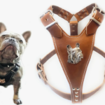 Screenshot 2026 04 01 001407