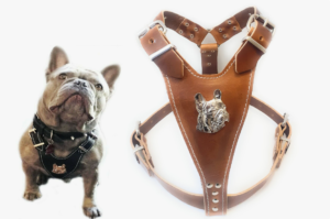Fresh Breath & Comfort: The Ultimate Guide to Dog Breath Freshener and Bulldog Harness