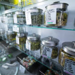 Find the Best Dispensary Near You for Quality Cannabis Products
